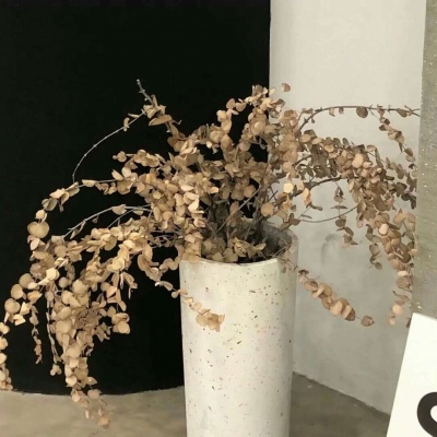 古塔福瑞交流群